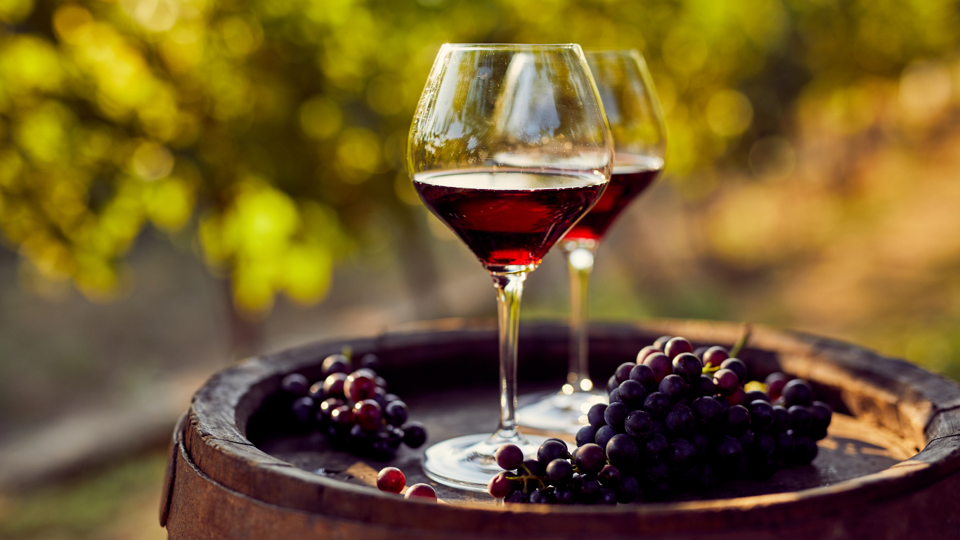 Red Wine grapes